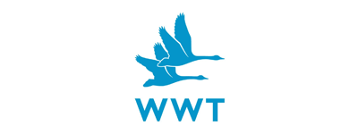 wwt
